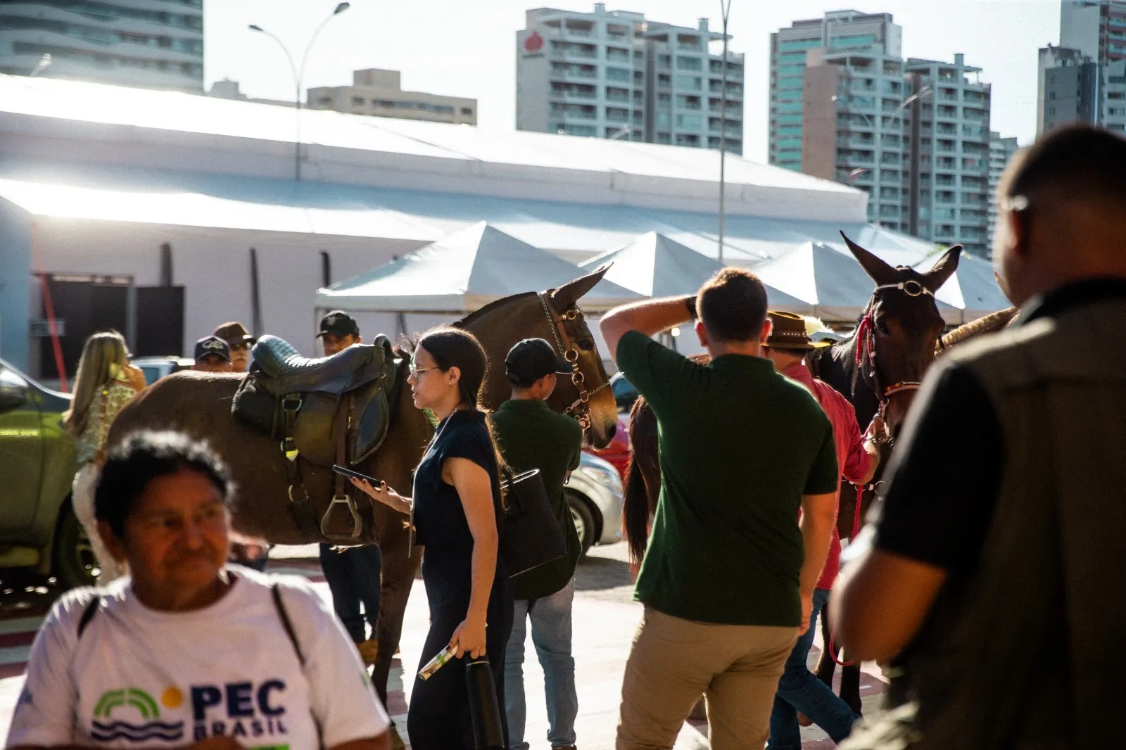 PEC Brasil 2026 contou com exposição de animais na área externa do Centro de Eventos.
