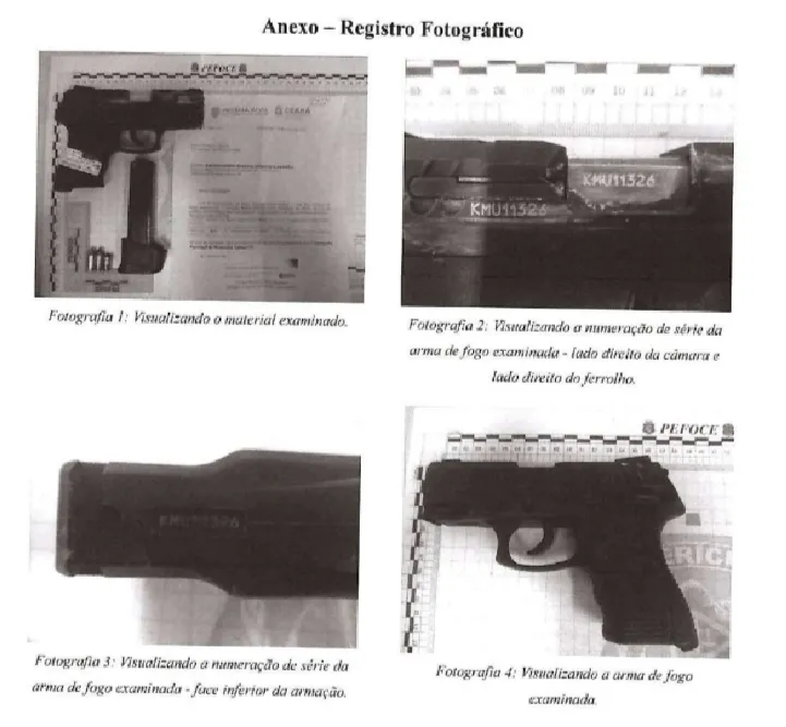 Perícia na arma de fogo de onde saiu o disparo fatal.
