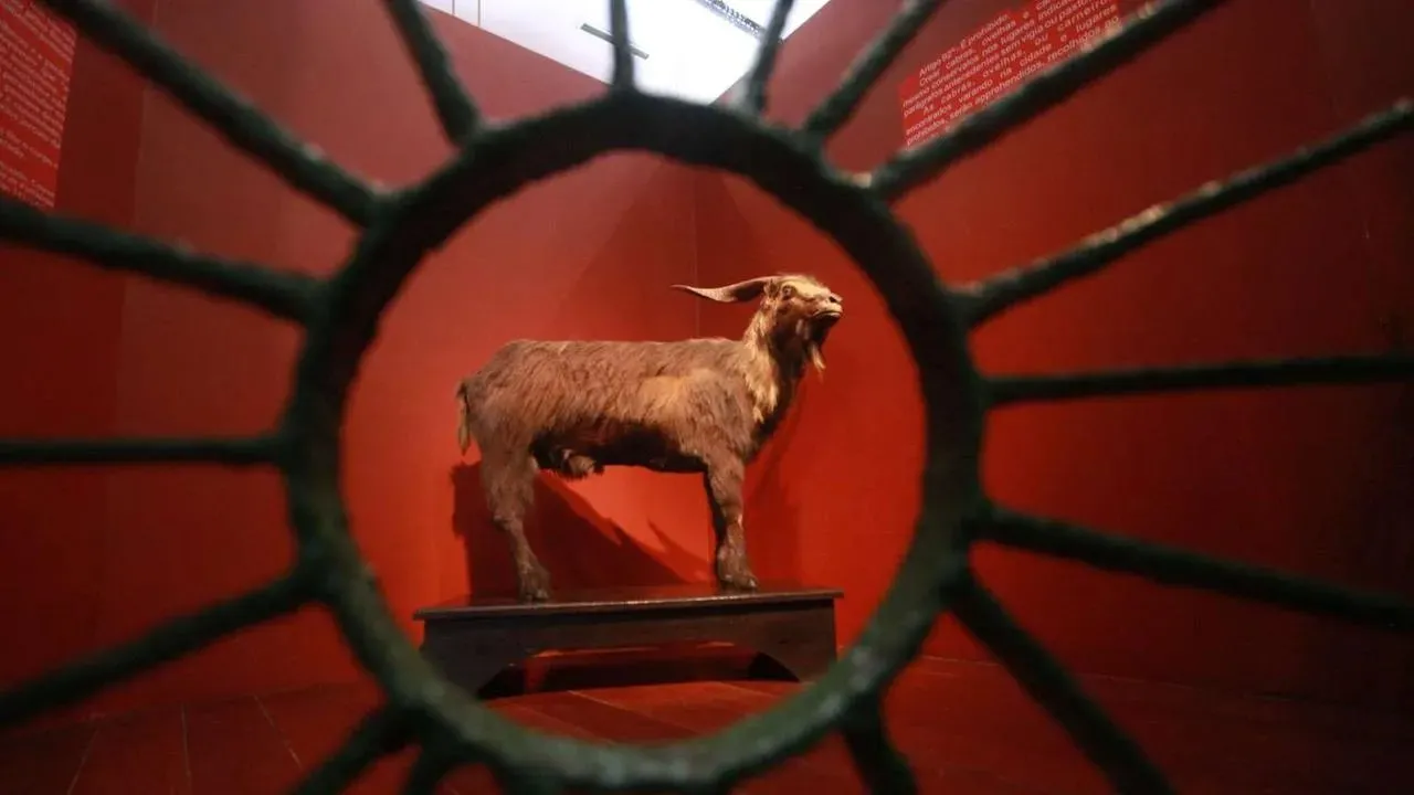 Acervo do museu inclui icônico Bode Ioiô.