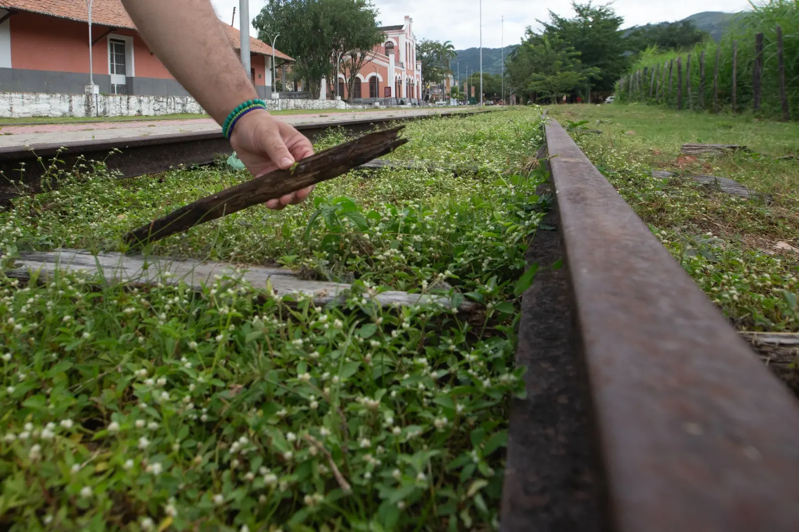Foto que contém pedaço de madeira em ferrovia abandonada.