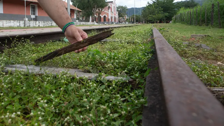 Foto que contém pedaço de madeira em ferrovia abandonada.
