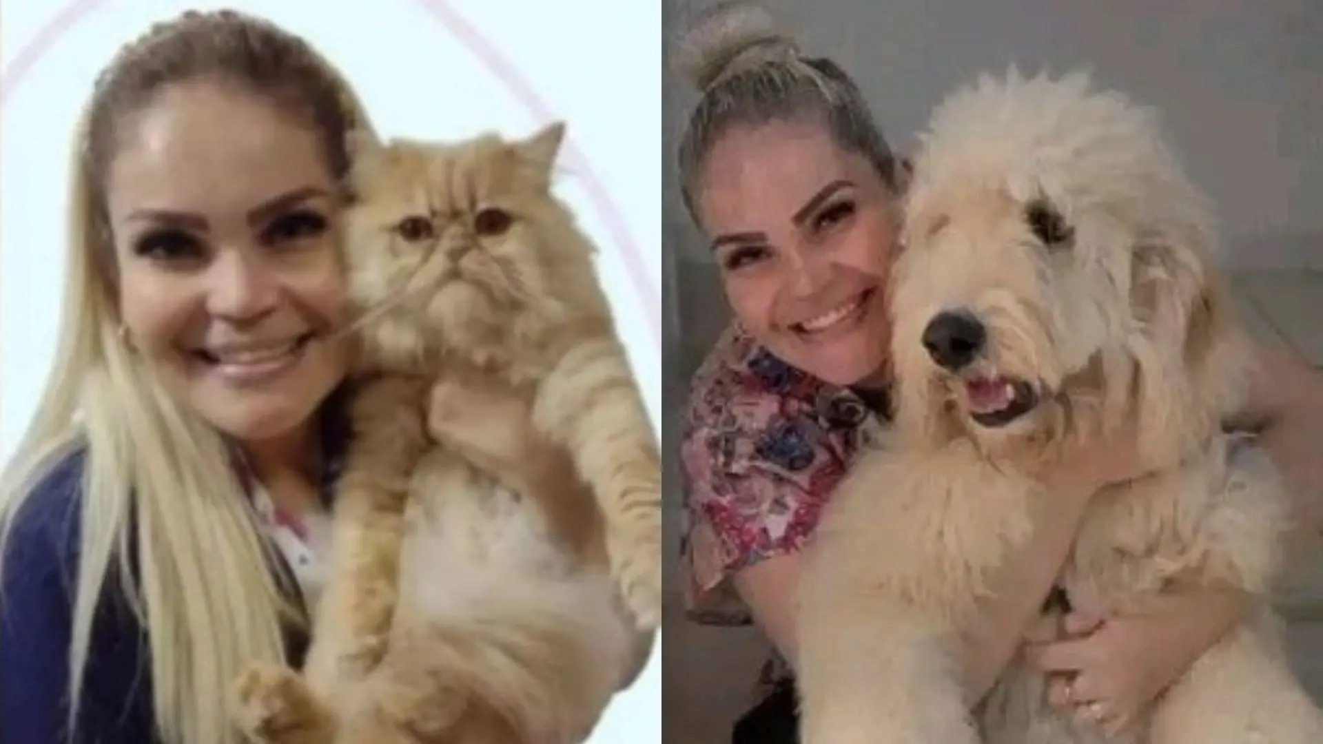 Imagem da notícia Justiça absolve cirurgião plástico e condena outro pela morte de 'Barbie dos Animais' em Fortaleza