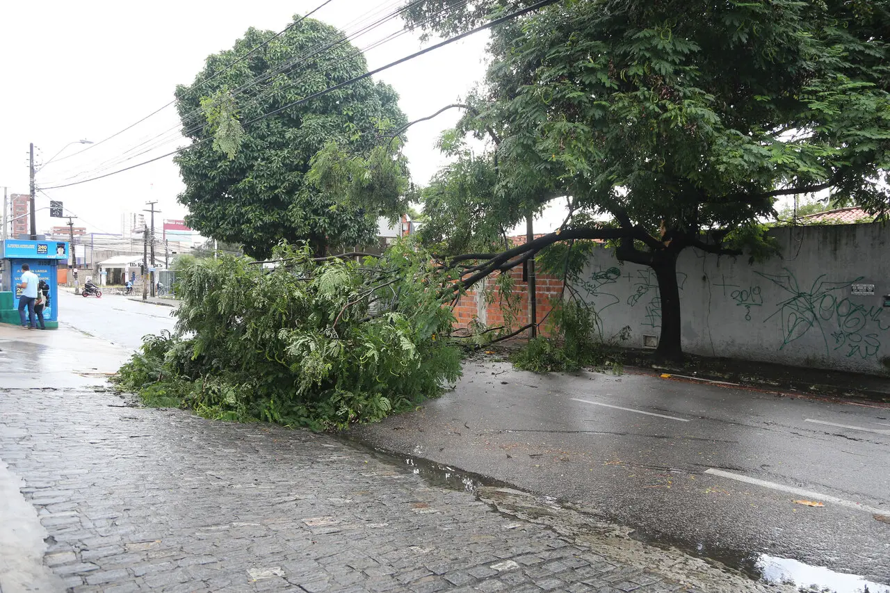 Imagem da notícia Ceará tem alerta de 'perigo potencial' por vendaval em 179 cidades; saiba quais