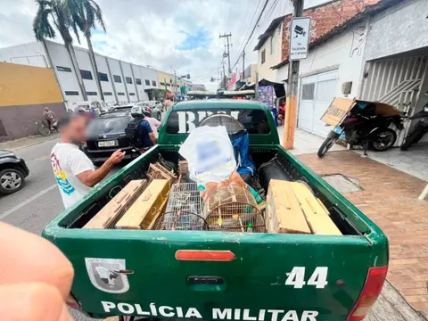 Imagem da notícia: Operação na Feira da Parangaba apreende mais de 200 animais silvestres; multa ultrapassa R$ 300 mil