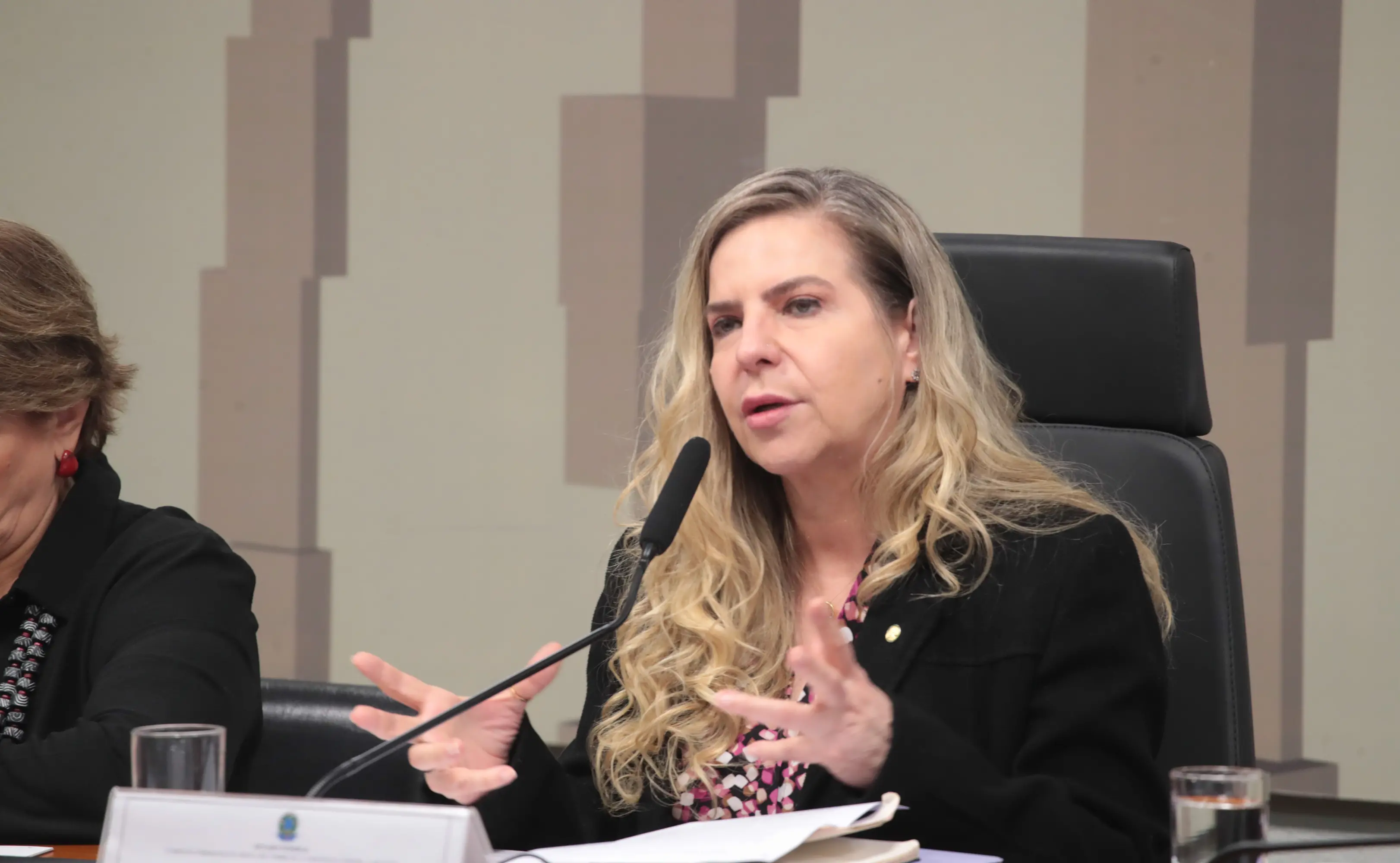 Mulher sentada à mesa durante uma sessão, falando ao microfone e gesticulando com as mãos. Ela veste blazer preto sobre uma blusa estampada e tem cabelos loiros e longos. Ao lado, outra mulher aparece parcialmente na imagem. Ao fundo, há cadeiras e painéis da sala de reunião.
