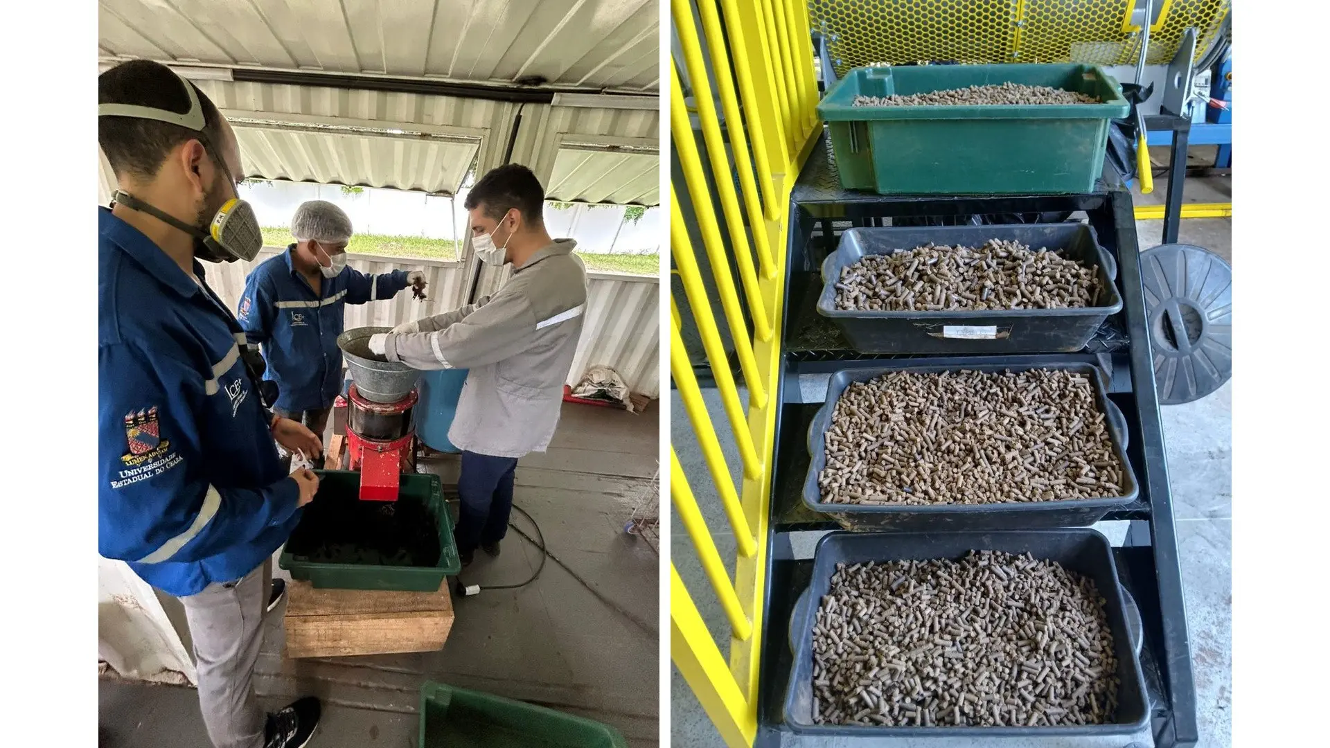 Imagem da notícia Usina no Ceará recebe primeira remessa de carvão vegetal feito a partir da casca do coco