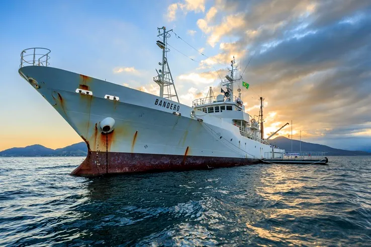 Navio M/Y Bandero participava da campanha internacional 86, missão pacífica contra a caça comercial de baleias-fin.