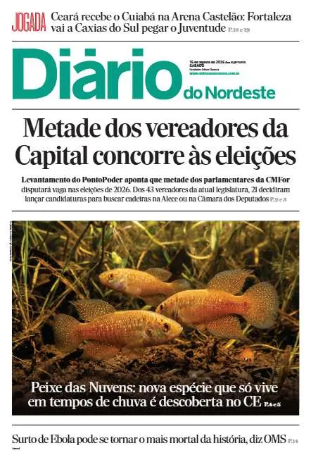 Preview do PDF