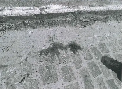 Imagem da notícia Trio deve ir a júri por assassinar irmãos às margens de rio em Fortaleza