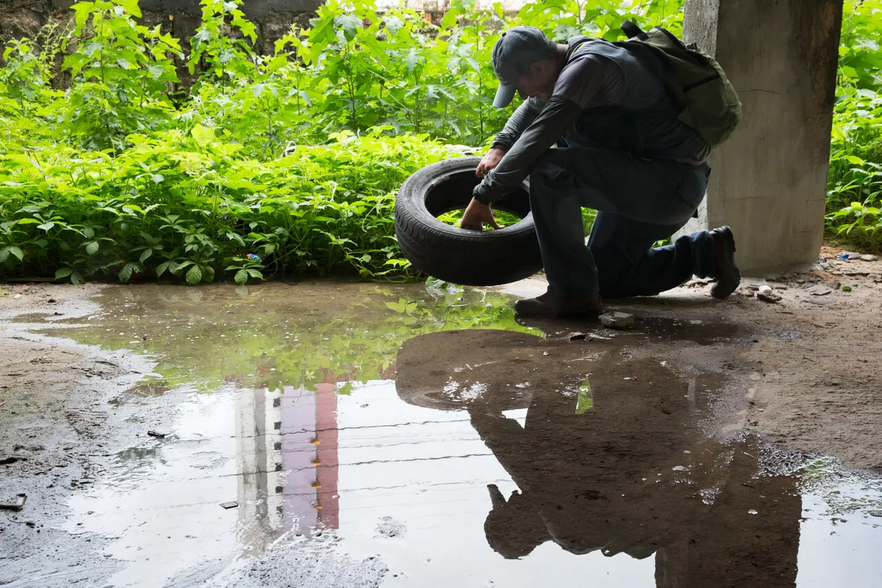 Imagem mostra agente de endemias de Fortaleza eliminando foco de mosquito, ao verificar pneu em terreno baldio, em ação de prevenção a dengue.