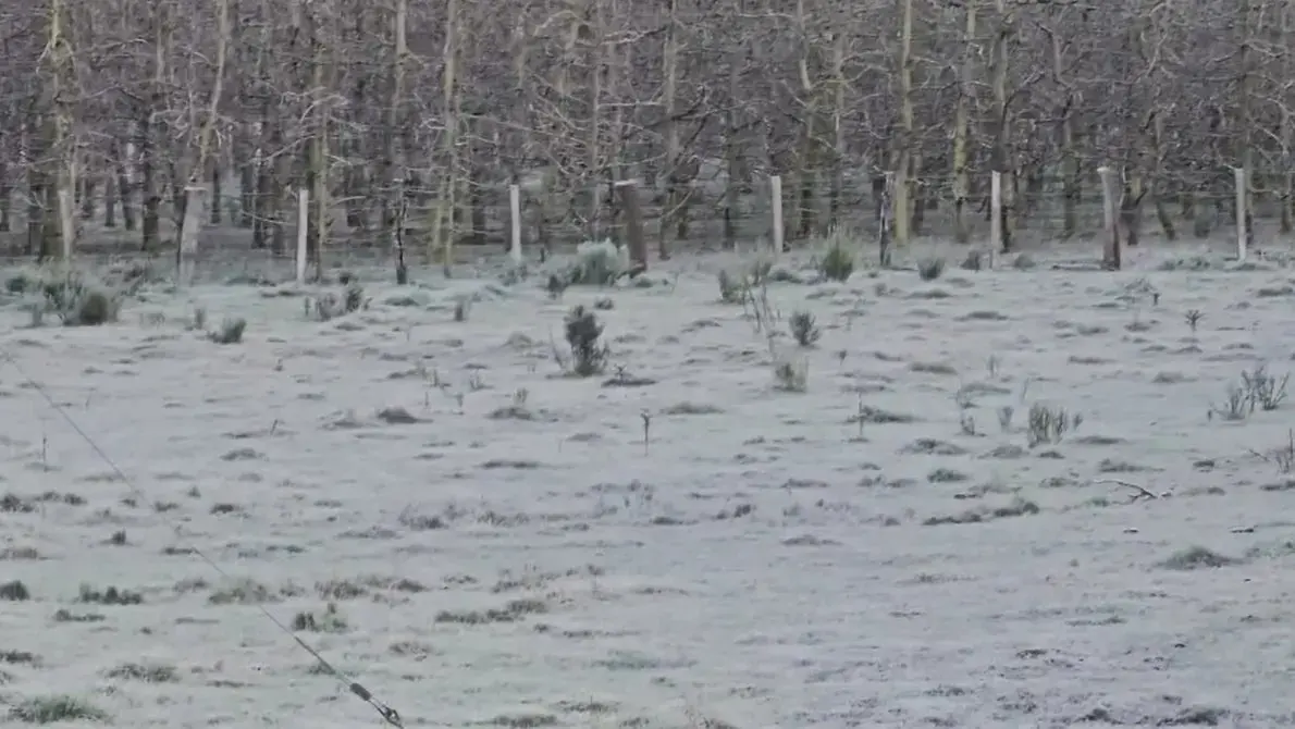 Imagem da notícia Santa Catarina amanhece com temperaturas negativas de até -7,7 ºC e geadas neste domingo (23)