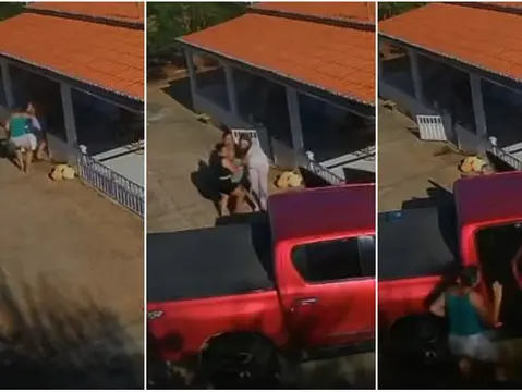 Imagem da notícia: Idoso é socorrido inconsciente após ser picado por cobra jararaca em Parambu, no Interior do Ceará