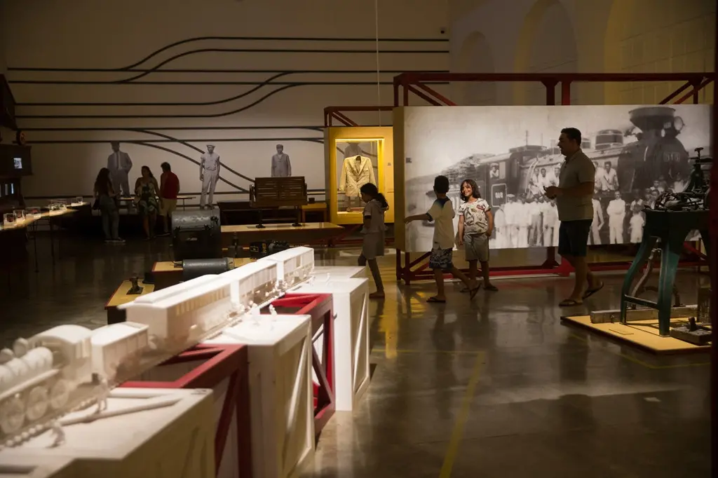 Imagem da notícia Fortaleza reúne museus com exposições, acervos variados e experiências culturais