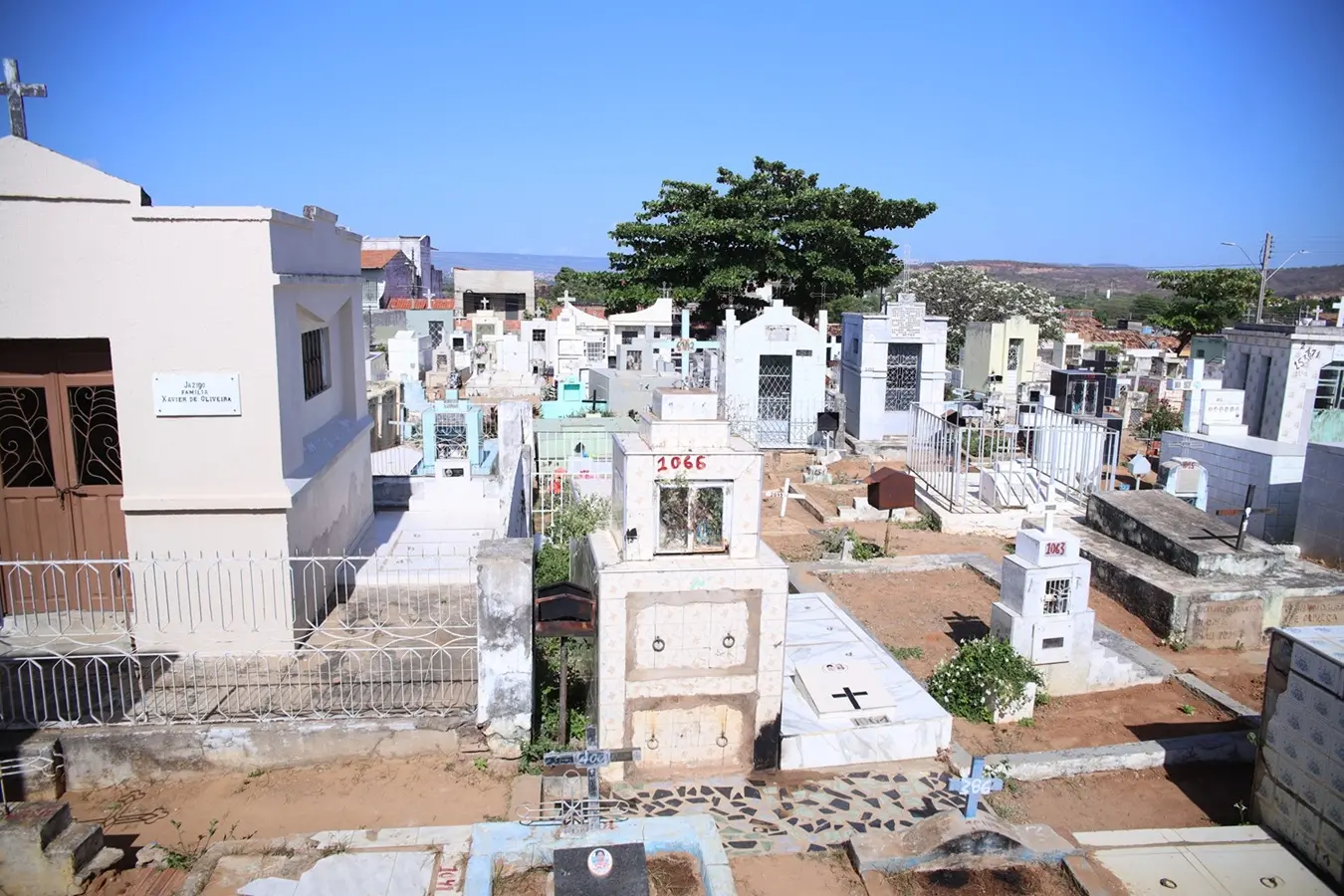 Imagem da notícia Cemitérios mais antigos de Juazeiro do Norte têm 2 mil terrenos irregulares ou em abandono