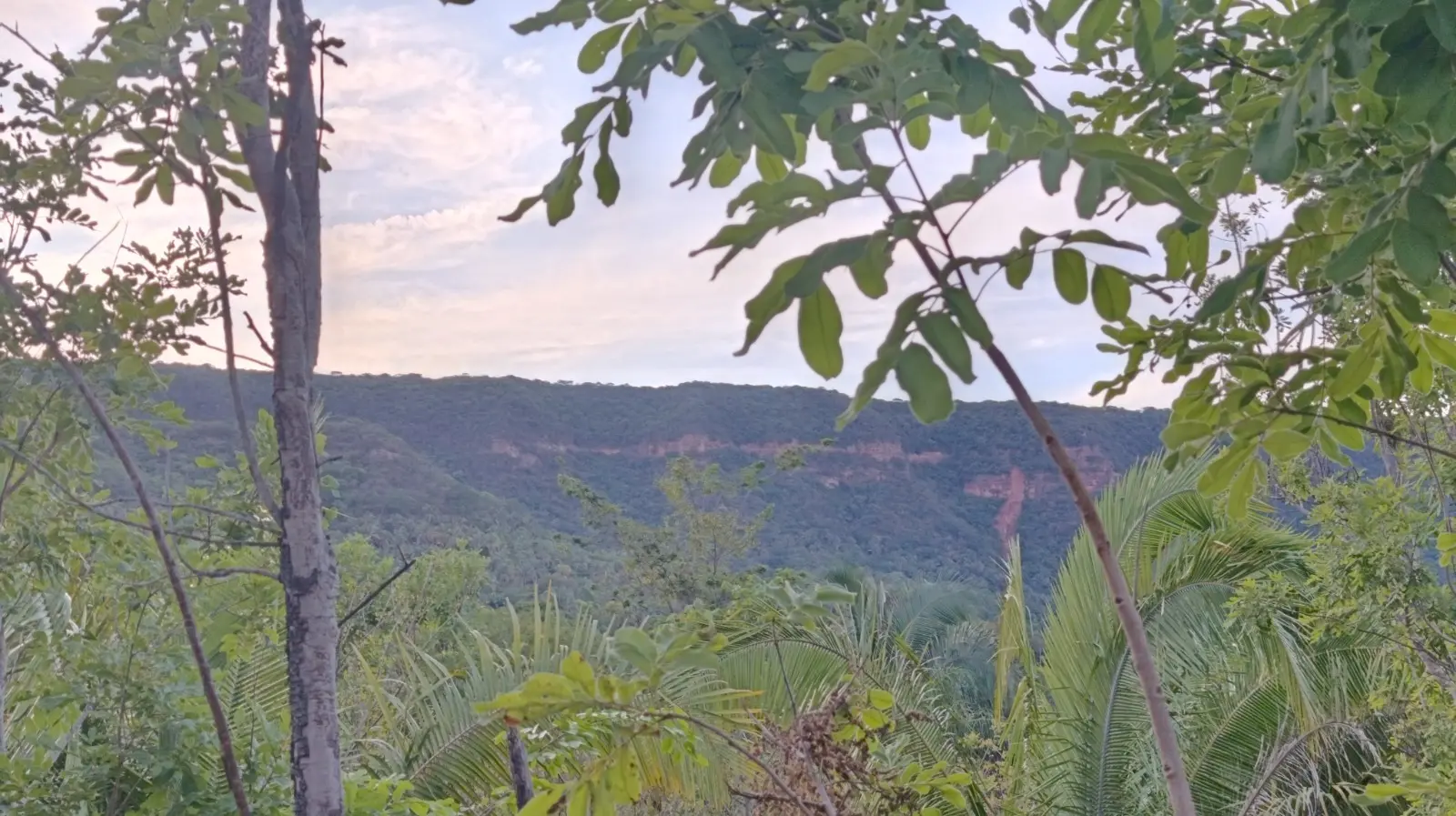 Imagem da notícia Não há Egito sem Nilo, nem Cariri sem Chapada do Araripe