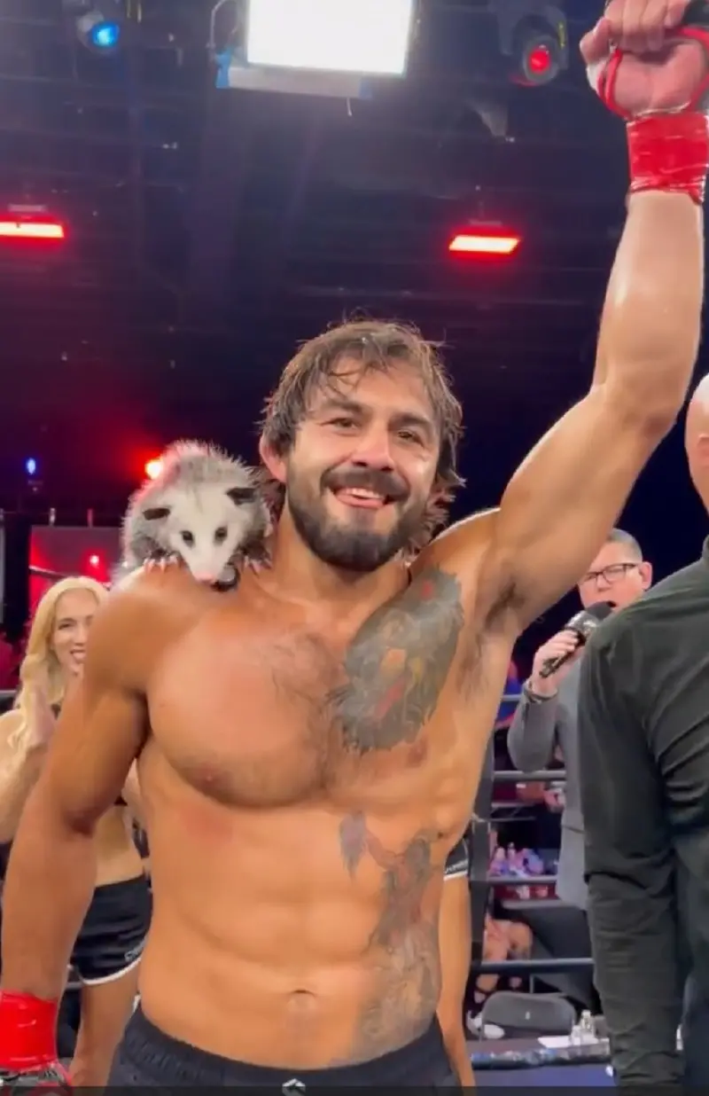 Imagem da notícia Lutador de MMA comemora vitória com gambá de estimação no ombro; veja vídeo