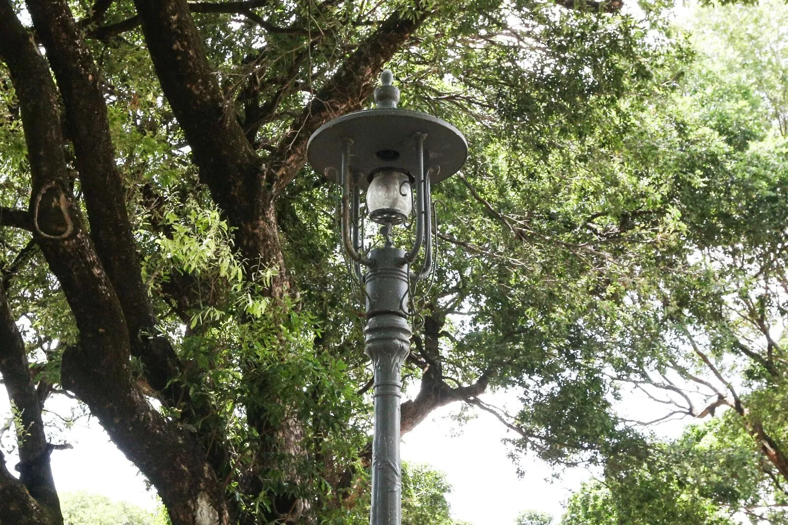 Em percurso na Cidade da Criança, a reportagem encontrou apenas uma luminária de ferro.