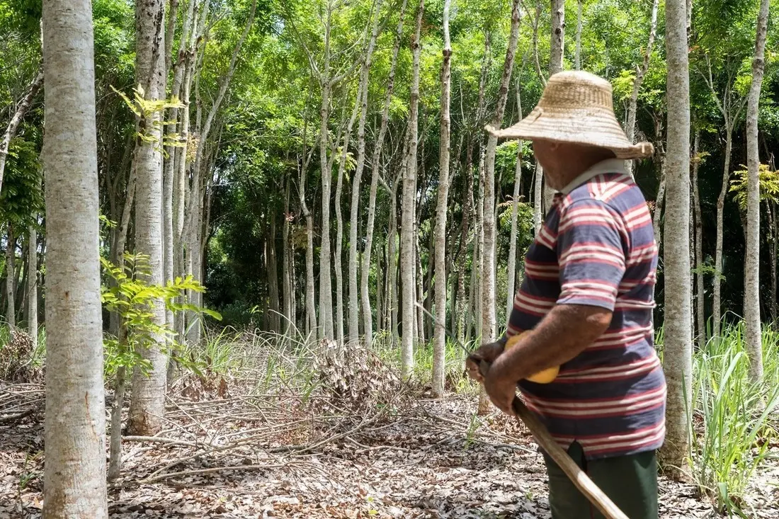 Imagem da notícia Prazo do ITR termina dia 30: veja quem deve declarar imposto rural no Ceará