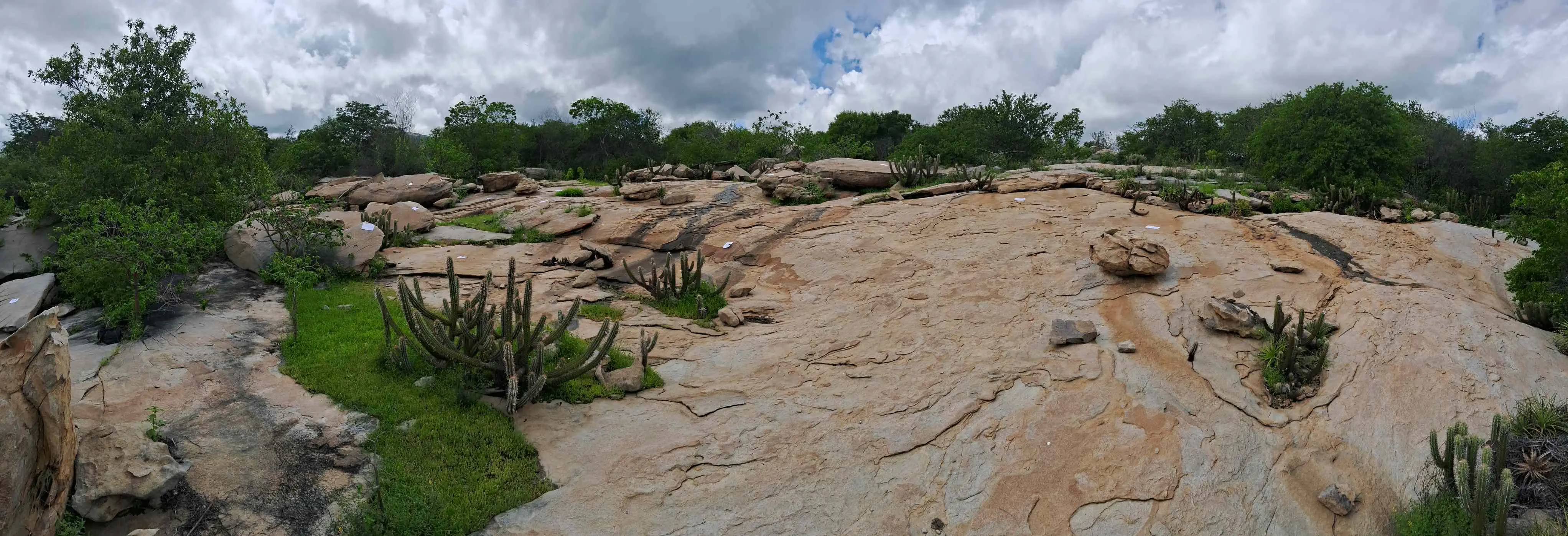 Imagem da notícia Sítio arqueológico de Jaguaribara é autorizado pelo Iphan para pesquisa e pode virar parque