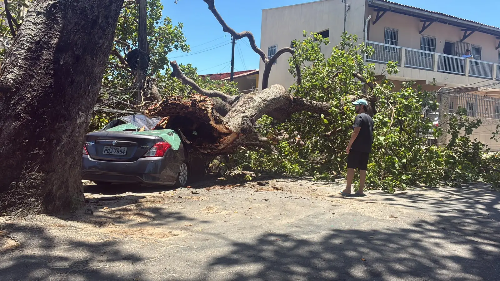 Imagem da notícia Queda de árvore destrói carro, muro e portão de casa na Lagoa Redonda, em Fortaleza