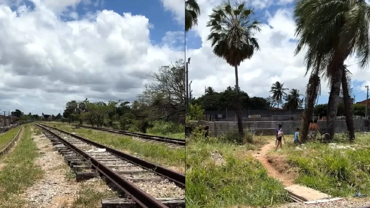Viaduto vai passar sobre infraestrutura ferroviária.