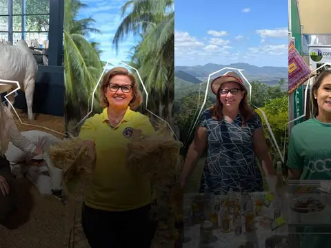 Imagem da notícia: Quem são as mulheres do agro no Ceará: elas comandam cooperativas e negócios que vão do coco ao gado
