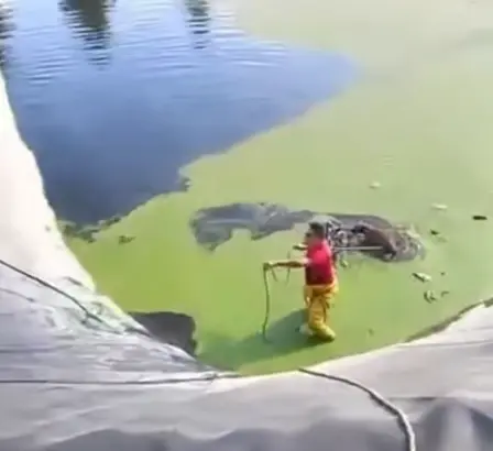 Imagem da notícia Cães são resgatados após ficarem presos  em reservatório de Maracanaú; veja vídeo 