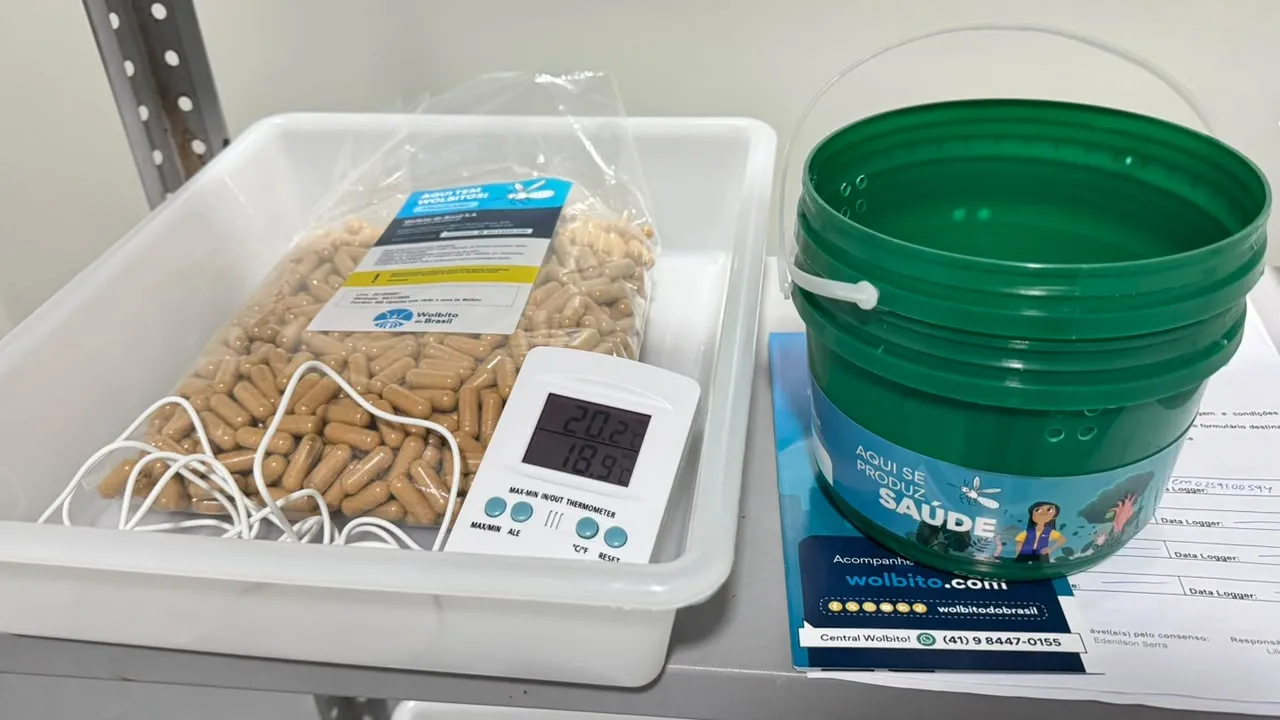 Larvas do mosquito chegaram ao CE em cápsulas; ao lado, 'baldinhos' que disseminarão os Wolbitos.