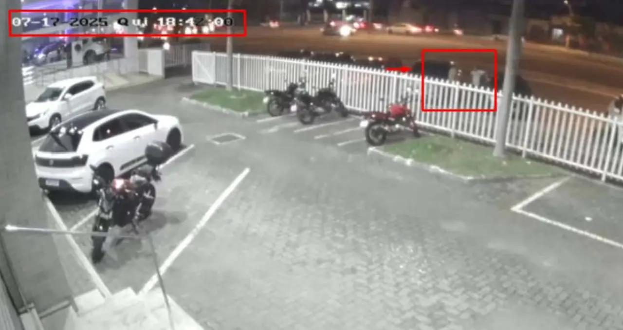 Imagem da notícia Policial acusado de tentar subornar colega para recuperar celular apreendido será julgado por corrupção