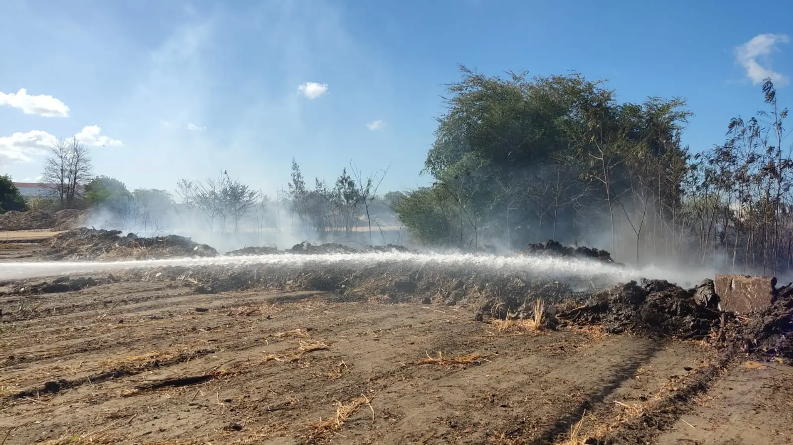 Imagem da notícia Incêndio atinge vegetação do terreno do ITA Ceará, em Fortaleza