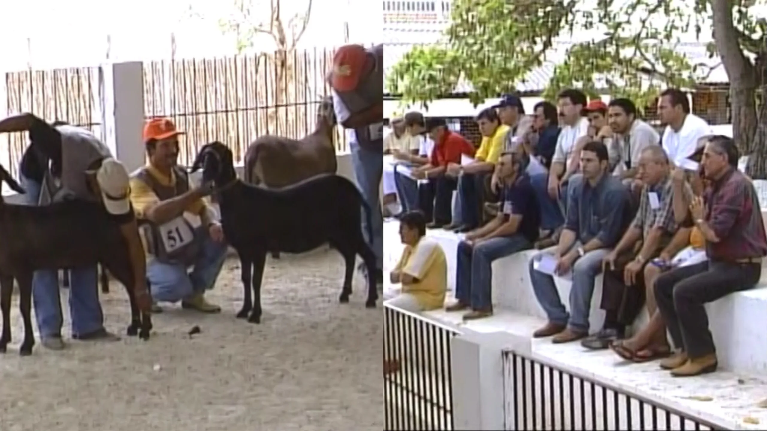 A competição de expositores de diferentes municipios é um dos momentos mais atrativos da Expoece.
