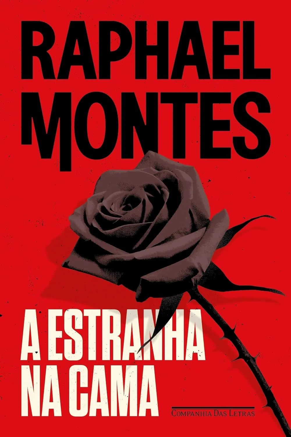 Livro começa com um casal chamando uma desconhecida para passar a noite na cobertura deles.
