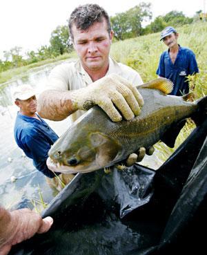 Costa Do Marfim E Brasil Firmam Acordo Tecnico Hoje Regiao Diario Do Nordeste