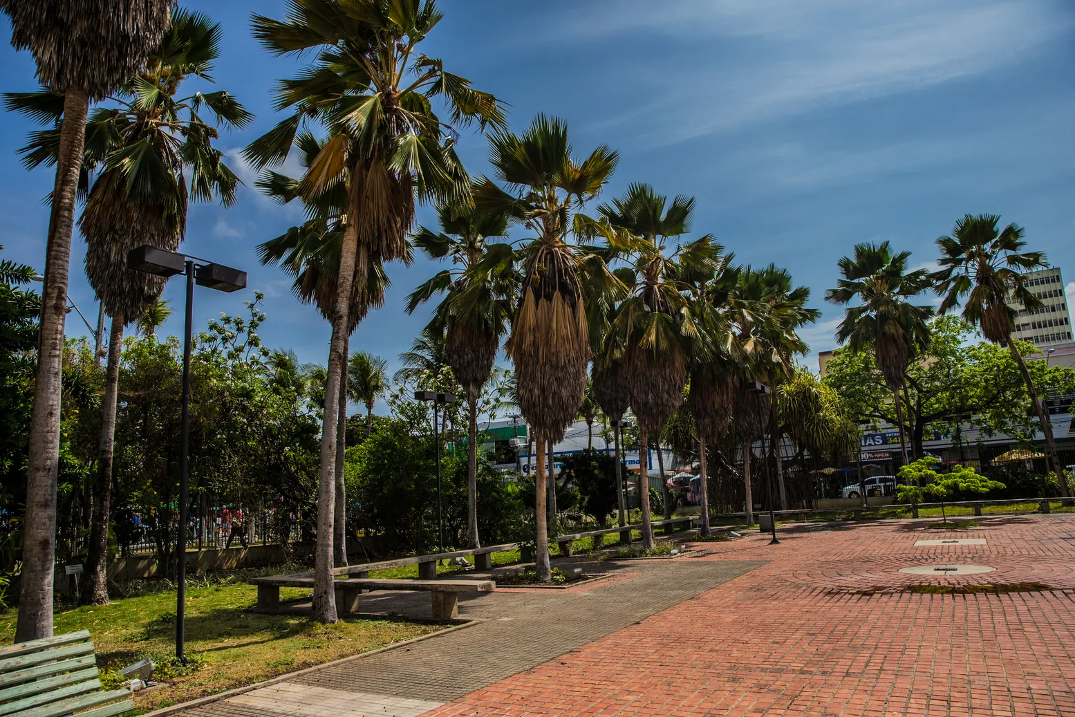 O jardim do TJA foi planejado pelo paisagista Roberto Burle Marx e conta com 50 espécies de plantas dos cinco continentes