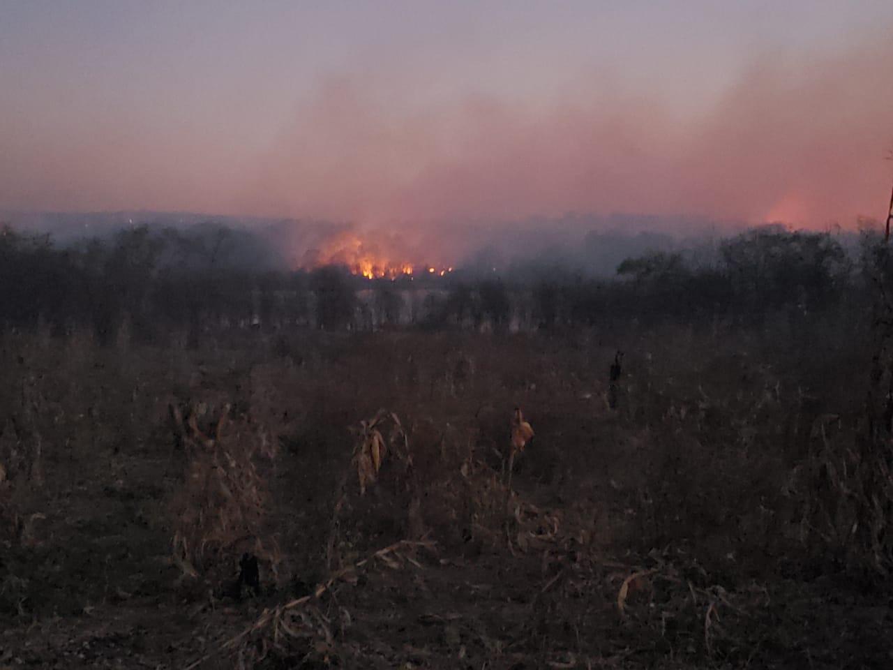 Incêndio atinge vegetação em Santa Quitéria
