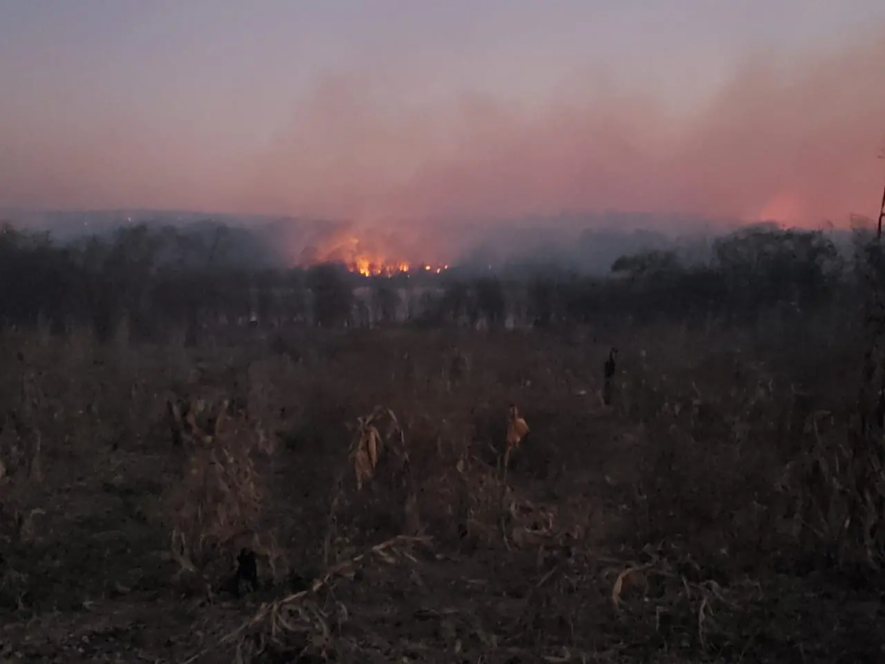Incêndio atinge vegetação em Santa Quitéria