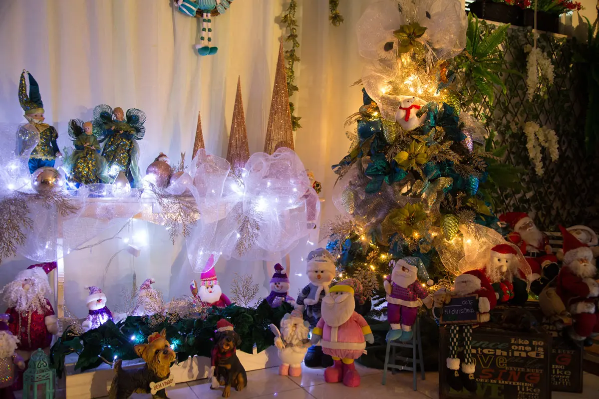 Devido ao impacto da Covid-19, o departamento de Inteligência de Mercado do Sistema Verdes Mares elaborou uma pesquisa para entender o comportamento da população no período de Natal