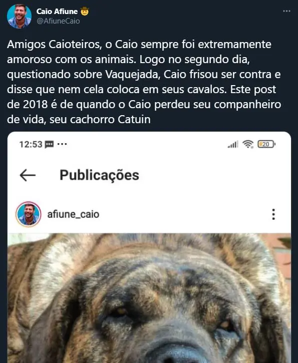 Post sobre o cachorro de Caio