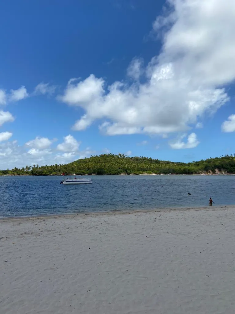 Outra opção para quem estiver próximo de Recife, Carneiros é sinônimo de tranquilidade, mas também oferece passeios variados