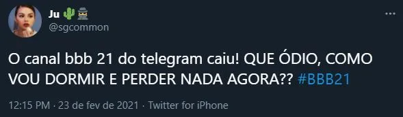 Muitos Internautas relataram que os canais são os principais espaços para divulgação do reality