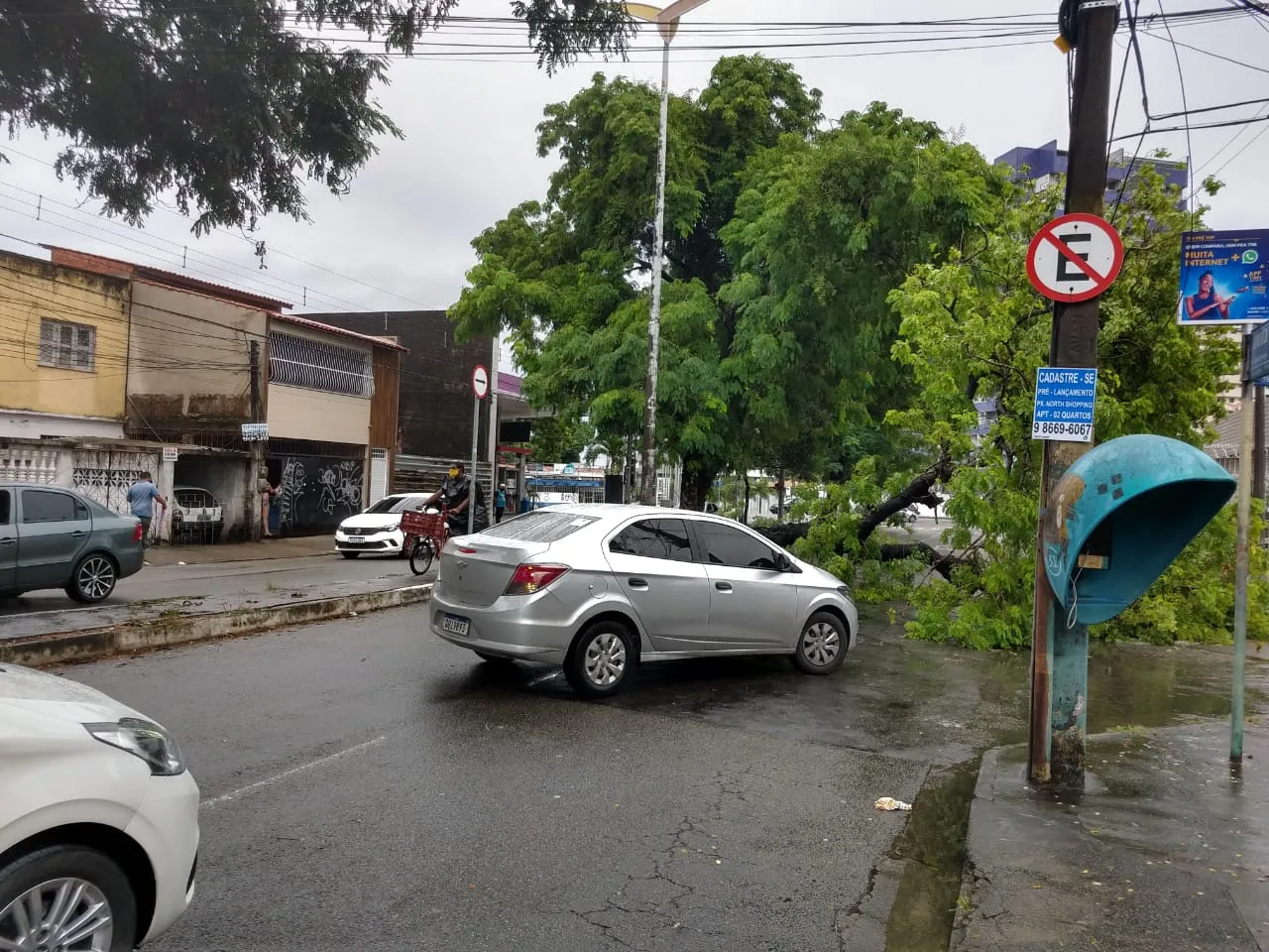 Tráfego congestionado após árvore cair na Avenida Jovita Feitosa, em Fortaleza