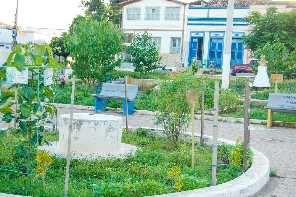 Paralelamente à iniciativa de valorização literária, foram também plantadas mudas de árvores nativas da caatinga na praça