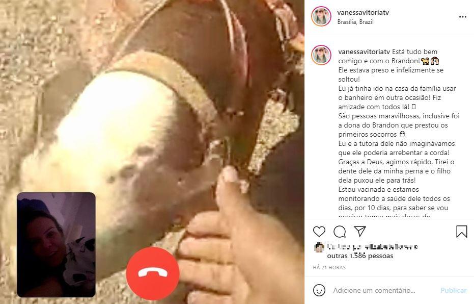 Captura de tela de postagem de Vanessa fazendo videochamada com família tutora de pitbull