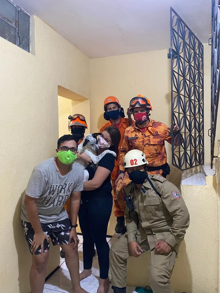 Equipe de bombeiros resgatam cadela presa em portão em Fortaleza.