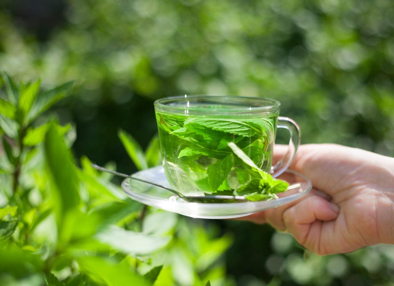 Chá de erva-cidreira