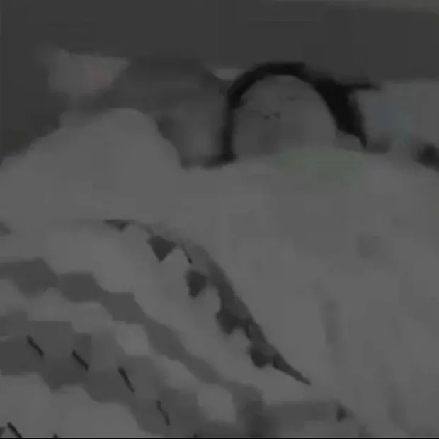 Pyong e Antonella embaixo do edredom no reality show Ilha Record