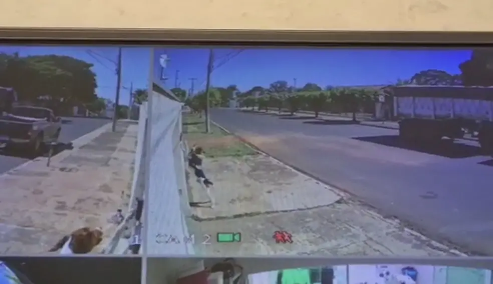 Cachorro apertando campainha em vídeo de câmera