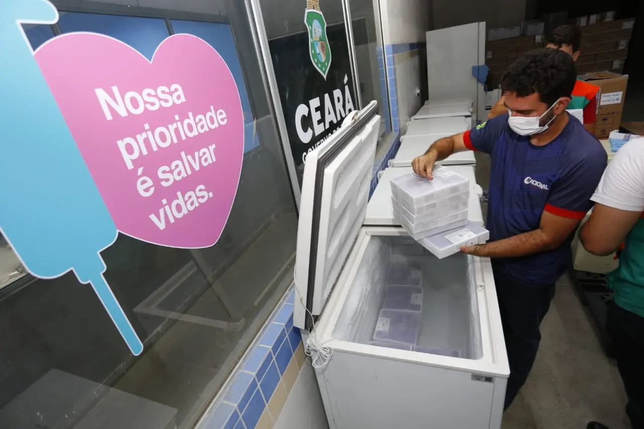 vacinas são colocadas em freezer
