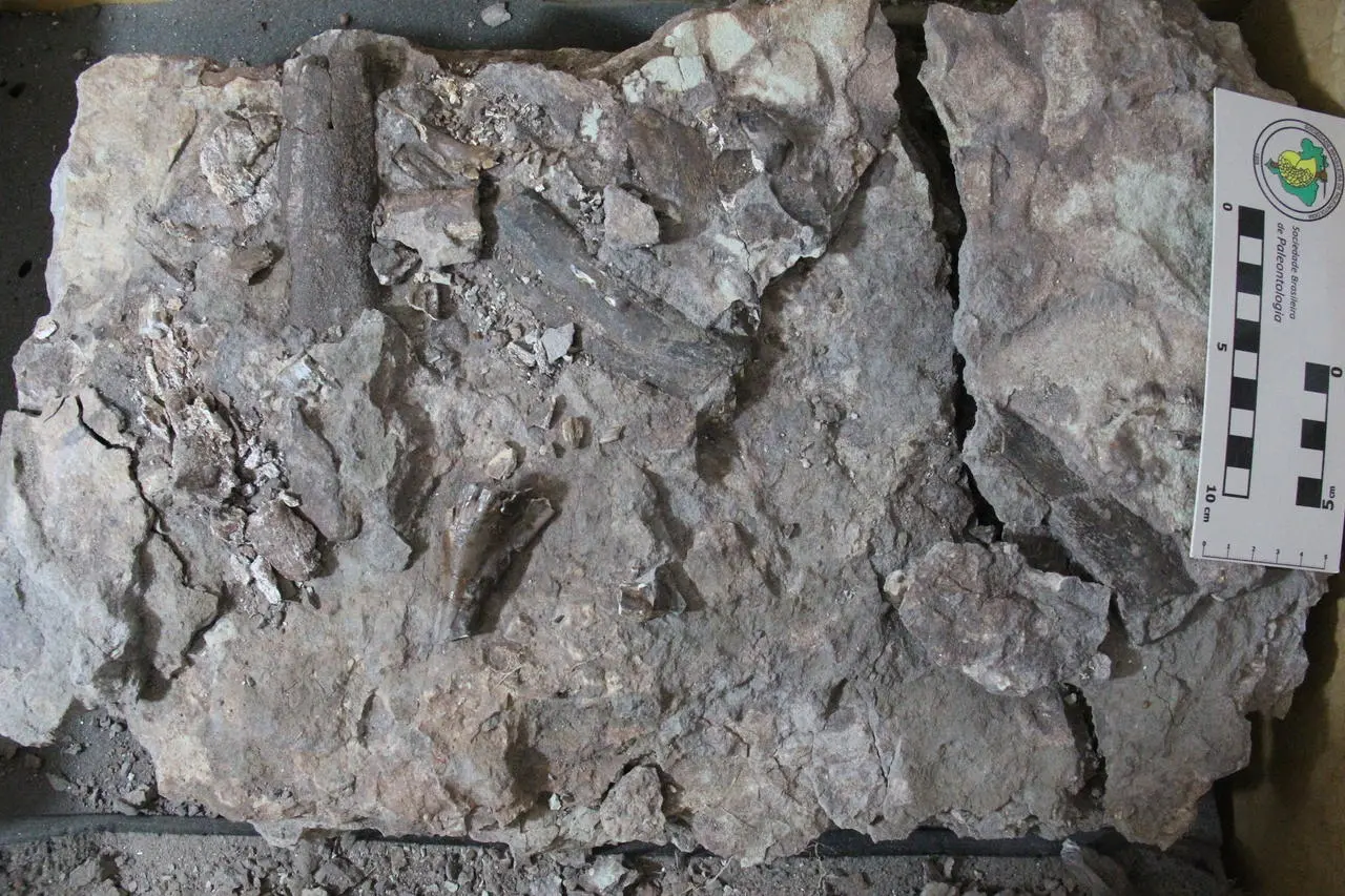 Escavações em Missão Velha