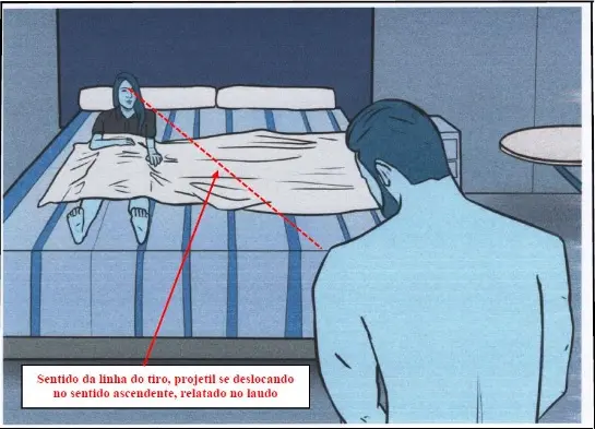 Imagem apresentada pelo perito criminal particular contratado pela defesa do réu